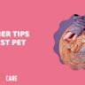 pet care tips