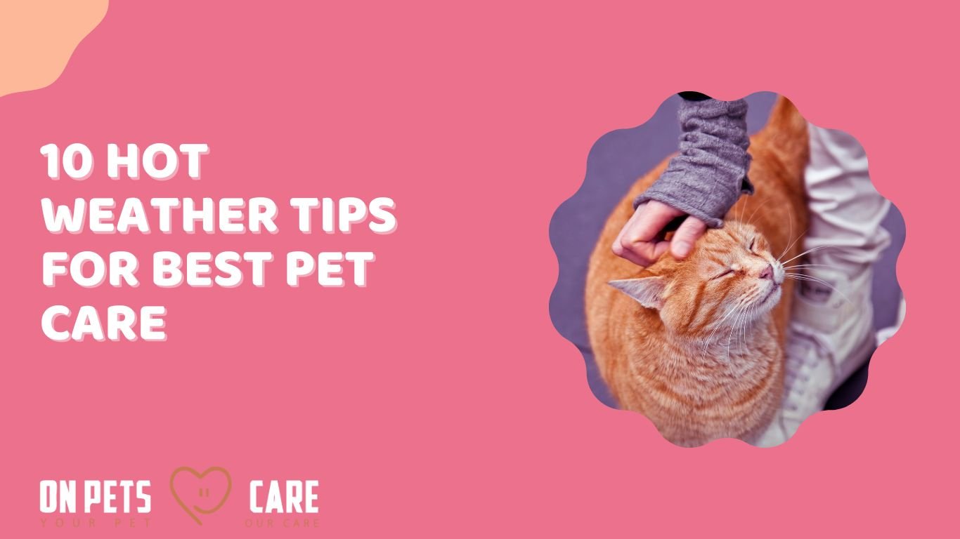 pet care tips