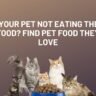 pet food