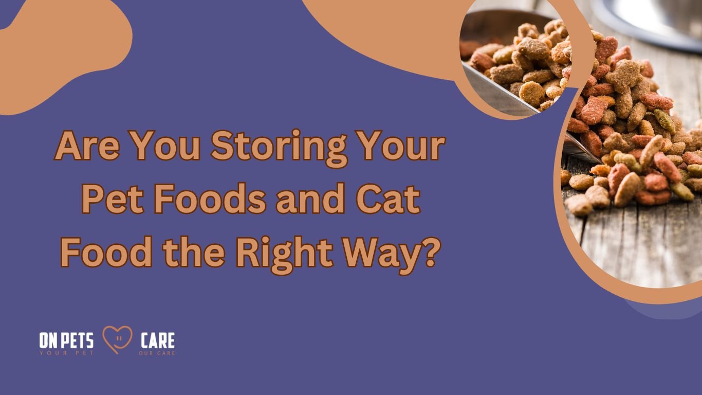 pet food storing technique