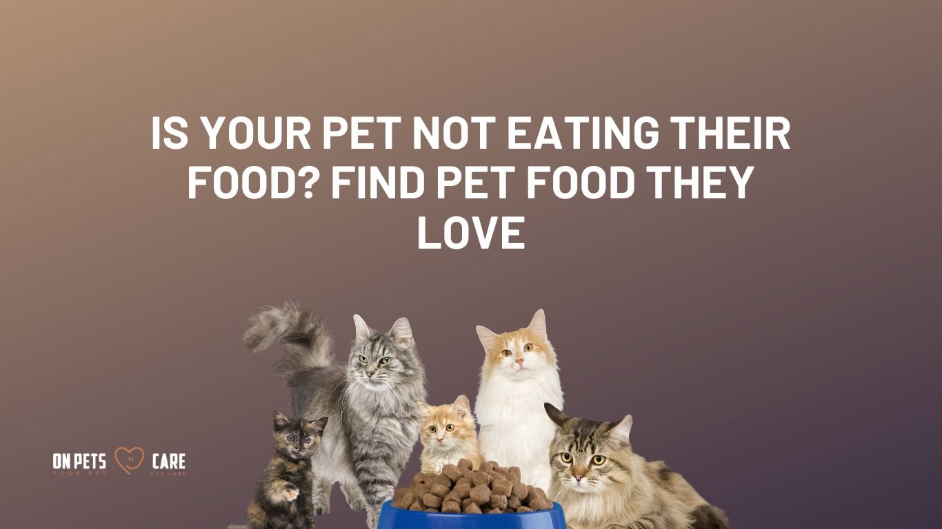 pet food