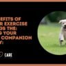 benefits of regular exercise for dogs