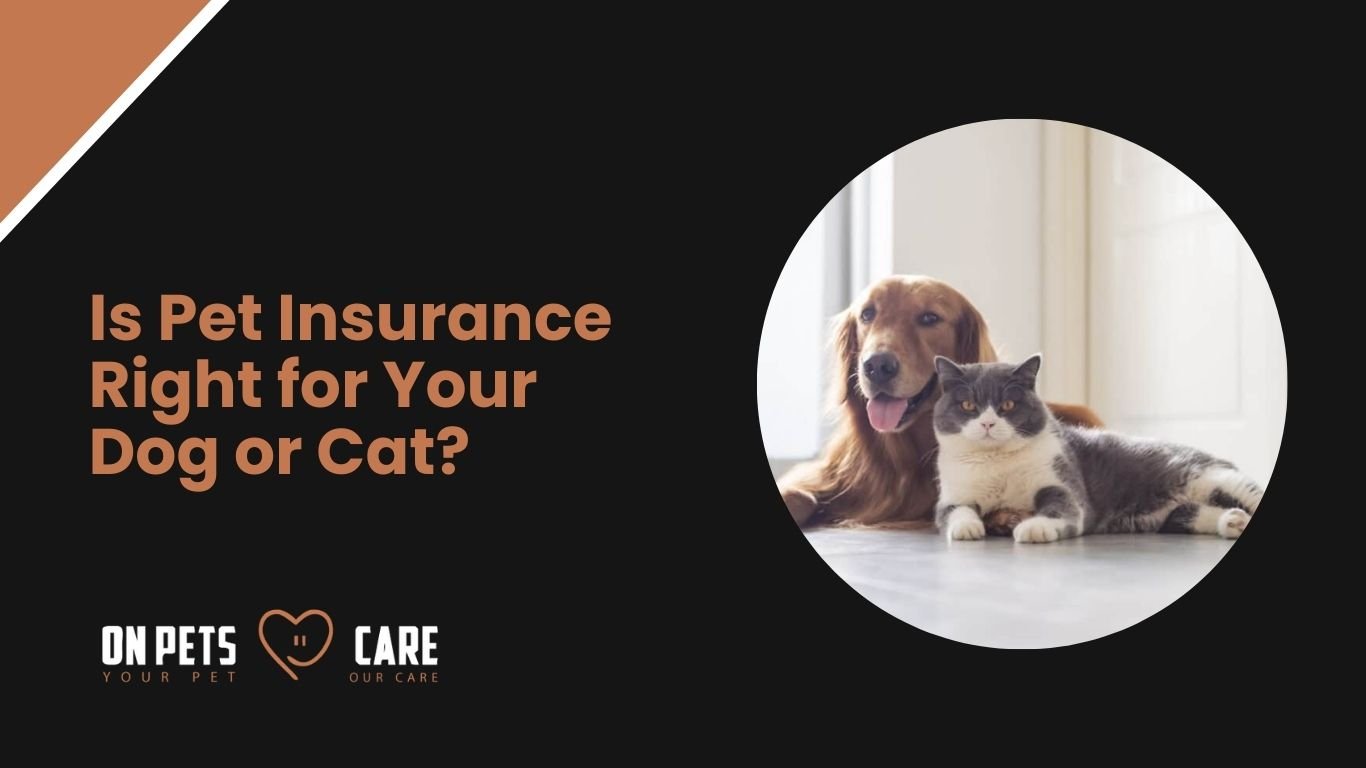 best pet insurance