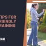 dog training tips