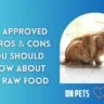 Cat Raw Foods