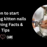 when to start trimming kitten nails