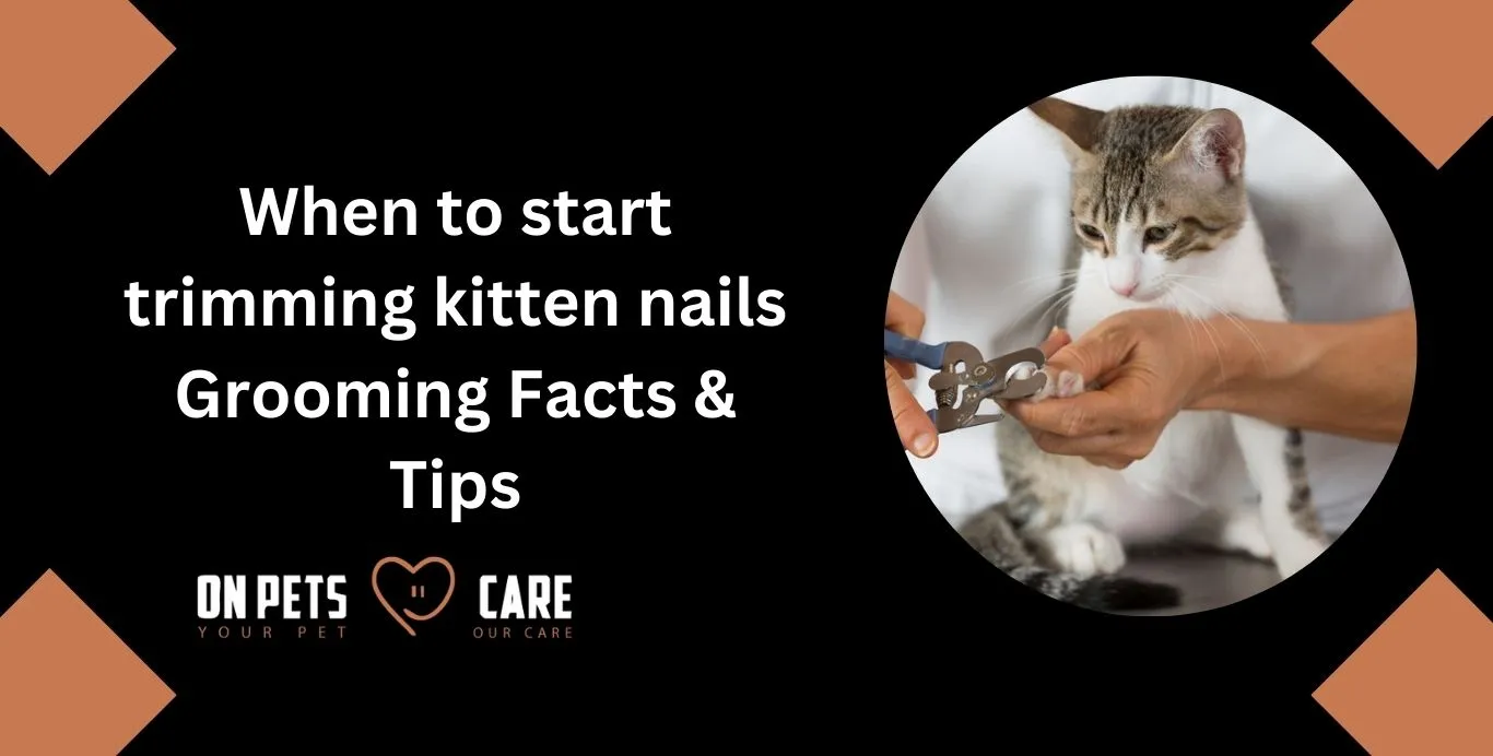 when to start trimming kitten nails