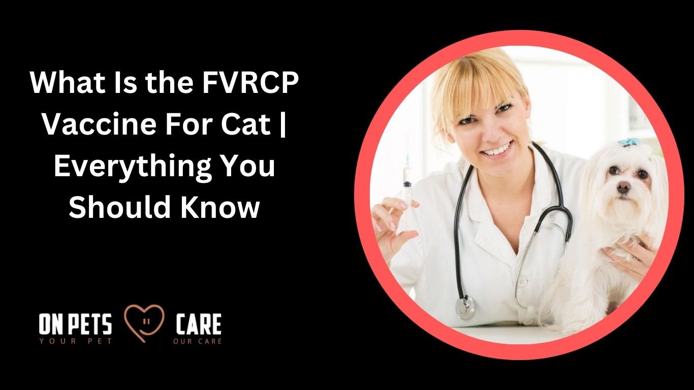 fvrcp vaccine for cats