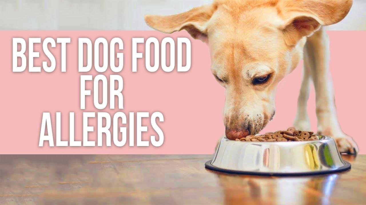 Dog Foods