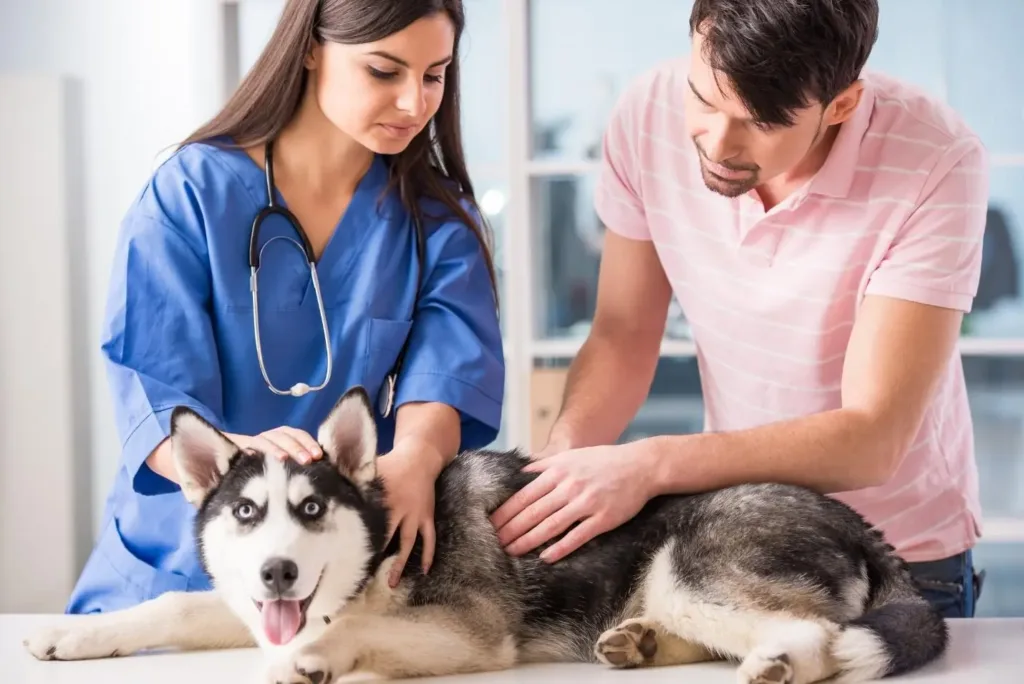 veterinary care centers