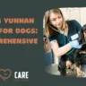 yunnan baiyao for dogs