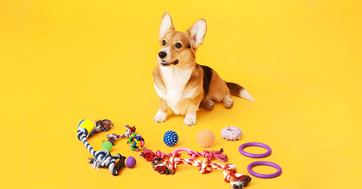 top dog accessories