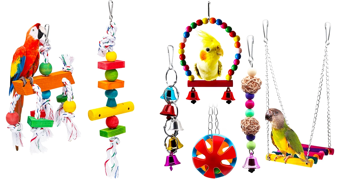 Parrot Accessories